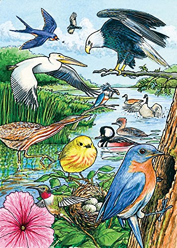 North American Birds, A 35-Piece Tray Puzzle by Cobble Hill