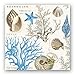 Michel Design Works 20-Count 3-Ply Paper Luncheon Napkins, Seashore