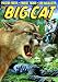 DVD : Big Cat