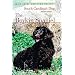 The Boykin Spaniel: South Carolina's Dog, Revised Edition