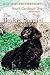 The Boykin Spaniel: South Carolina&Acirc;&rsquo;s Dog, Revised Edition