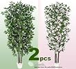 TWO 7' Artificial Trees - Very Full Ficus + Dogwood with Real Wood Trunks