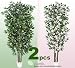 TWO 7' Artificial Trees - Very Full Ficus + Dogwood with Real Wood Trunks