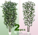 TWO 7' Artificial Trees - Very Full Ficus + Dogwood with Real Wood Trunks