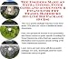 Book The Insider's Make An Extra Income, Inner Game and Accounting & Finance for Pet Travel Hammocks On-line Biz Package (3 CDs)
