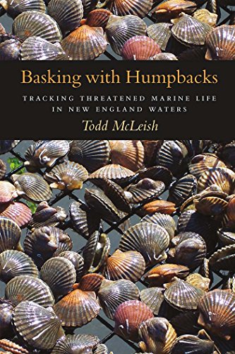 Basking with Humpbacks: Tracking Threatened Marine Life in New England Waters, by Todd McLeish
