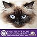Wellness Healthy Indulgence Natural Grain Free Wet Cat Food, Turkey & Chicken, 3-Ounce Pouch (Pack Of 24)