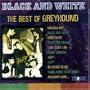 Black and White: Best of Greyhound
