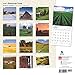 American Farm 2016 Wall Calendar