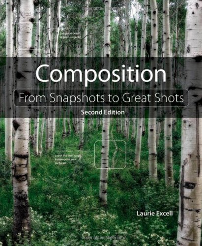 Composition: From Snapshots to Great Shots (2nd Edition)