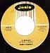 Ebb Tide/Sinbad (VG+ 45 rpm)