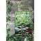 Nature Kindergartens & Early Years Forest School books