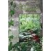 Nature Kindergartens & Early Years Forest School books