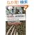 �i�p���Łj�O���l�̂��߂̗d���T�o�C�o���K�C�h - Yokai Attack!: The Japanese Monster Survival Guide
