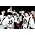 Thumbnail image of Kottonmouth Kings