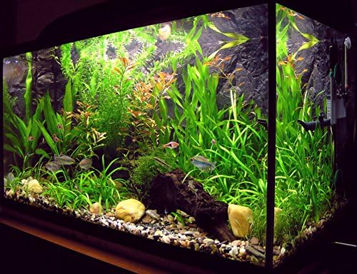 Fengsie Pet - Aquarium Fish Tank Silicone Air Tube Set - ALL YOU NEED TO CONNECT AIR PUMP - Free BONUS Valve