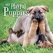 Turner Photo 2017 Playful Puppies Photo Mini Wall Calendar, 7 x 14 inches Opened (17998950017)
