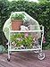Frost Protek Plant Cover: Large, Green