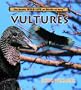 Vultures (Really Wild Life of Birds of Prey)
