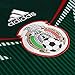 adidas Men's Mexico Home Jersey 2013/14