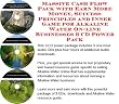 The Quick and Easy How To Earn Extra Money, Marketing and Success Principles for Alkaline Water Biz 3 CD Package