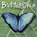 Search : Butterflies 2011 Wall Calendar #30142-11