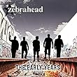 The Early Years (ゼブラヘッド)