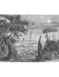 MISSISSIPPI: Indian cemetary , antique print, c1880