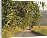 IMAGE OF Canvas Prints of USA, Tennessee, from Danita Delimont