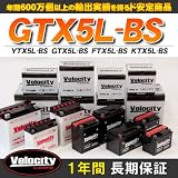 YTX5L-BS