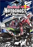 DVD : MX Of Nations 2008