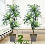 Review Arcadia Silk Plantation  / TWO 6' Cycas Palm Artificial Trees with 5 Heads _Plastic Fronds