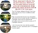 Book The Secret How To Earn Extra Money, Success Principles and eCommerce for LED Flashlights Web Biz 3 CD Course