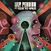 Lily Perdida