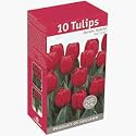 TotalGreen 72415200 Tulip Bulbs