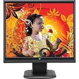 17 LCD Monitor
