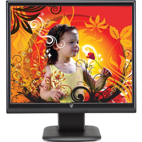 17 LCD Monitor