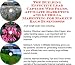 The Guerilla Marketing, Building Effective Lead Capture Web Pages, Affiliate Marketing for Makeup Bags Businesses