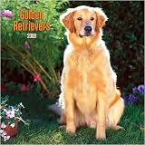 Golden Retrievers 2008 Wall Calendar