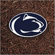 Penn State Nittany Lions NCAA Stepping Stone by New Creative