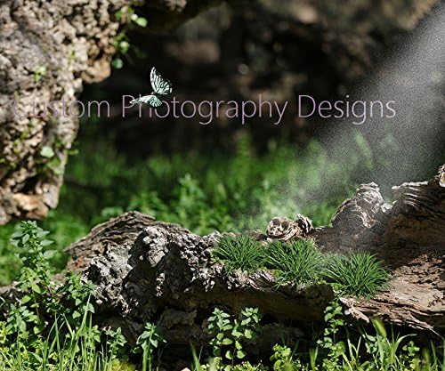 The Enchanted Butterfly