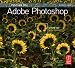 Focus On Adobe Photoshop: Focus on the Fundamentals