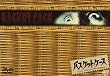 �o�X�P�b�g�P�[�X BOX [DVD]
