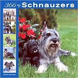 365 Days of Schnauzers 2008 Wall Calendar
