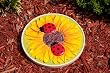 Floral Brights Ladybug Sunflower Stepping Stone