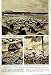 1952 Falmingo Eggs Island Florida Hialeah Racecourse