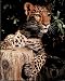 Ron Kimball Leopard Art Print POSTER OOP wild animal NR - 16" x 20"