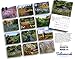 The English Garden 2016 Calendar 11x14