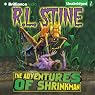 The Adventures of Shrinkman