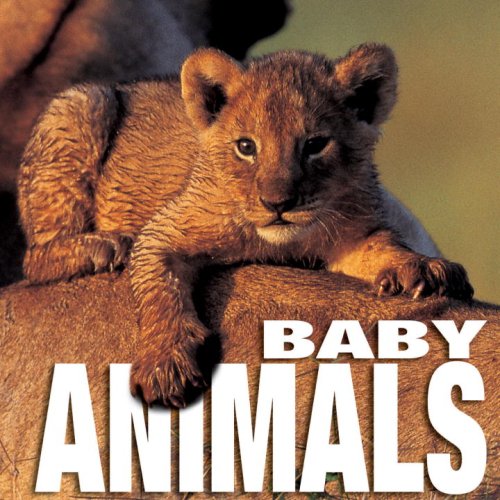 Wildlife